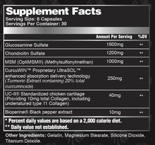 Load image into Gallery viewer, Alpha Lion Cyborg