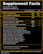 Load image into Gallery viewer, Alpha Lion Superhuman Armor